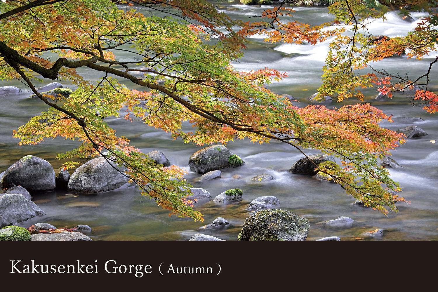 Yamanaka Onsen Kissho Yamanaka Otel Kaga  Dış mekan fotoğraf